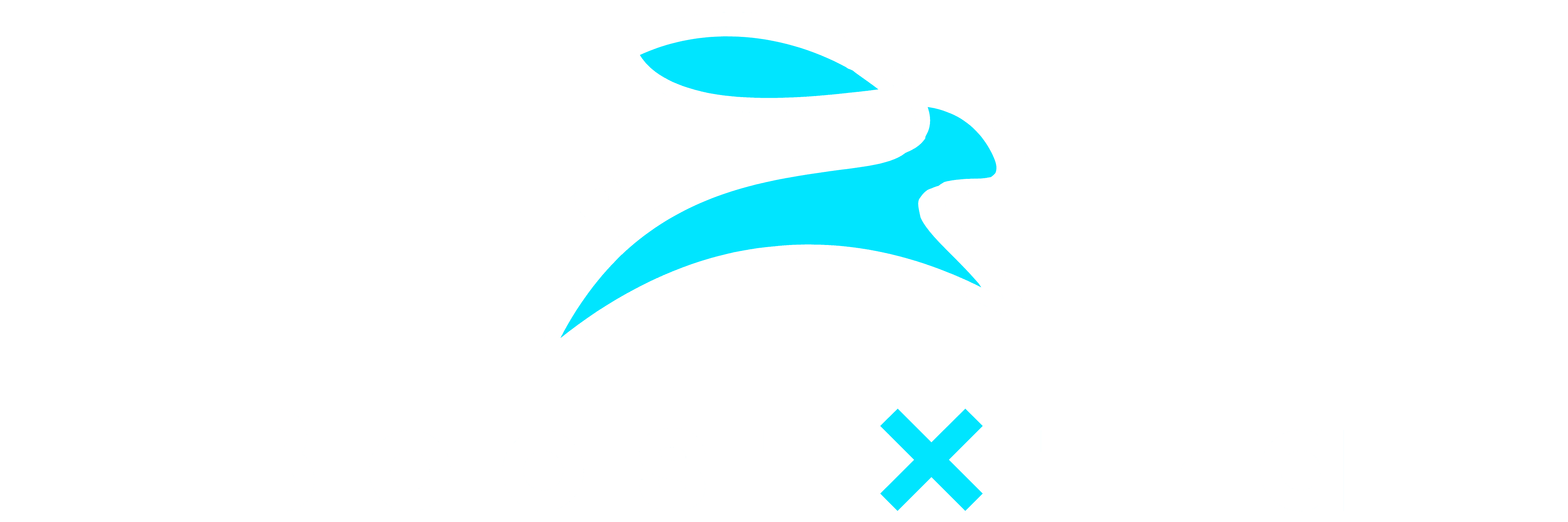 Website logo